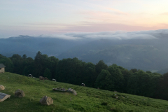 LeTreh_ferme_auberge91