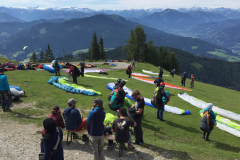 Bischling_48