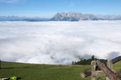 Bischlingstartplatz_W_4