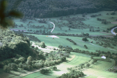 FliegenMesselstein016