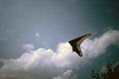 fliegen026